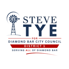 steve tye campaign logo